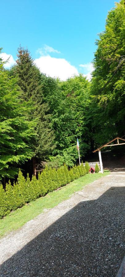 Cabana Valea Bradului Nucsoara  Exterior photo
